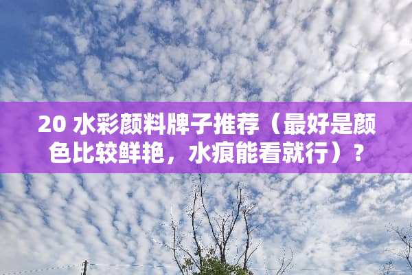 20 水彩颜料牌子推荐（最好是颜色比较鲜艳，水痕能看就行）？