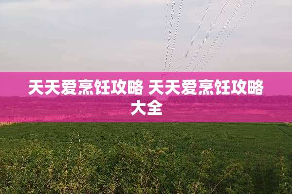 天天爱烹饪攻略 天天爱烹饪攻略大全