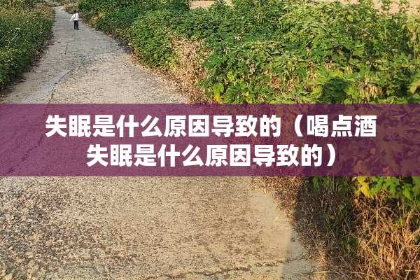 失眠是什么原因导致的（喝点酒失眠是什么原因导致的）