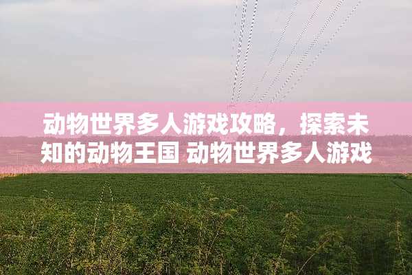 动物世界多人游戏攻略，探索未知的动物王国 动物世界多人游戏攻略