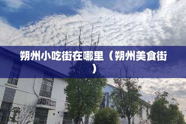 朔州小吃街在哪里(朔州美食街) 朔州小吃街在哪里(朔州美食街)