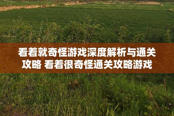 看着就奇怪游戏深度解析与通关攻略 看着很奇怪通关攻略游戏