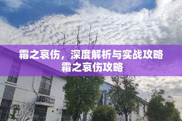 霜之哀伤，深度解析与实战攻略 霜之哀伤攻略