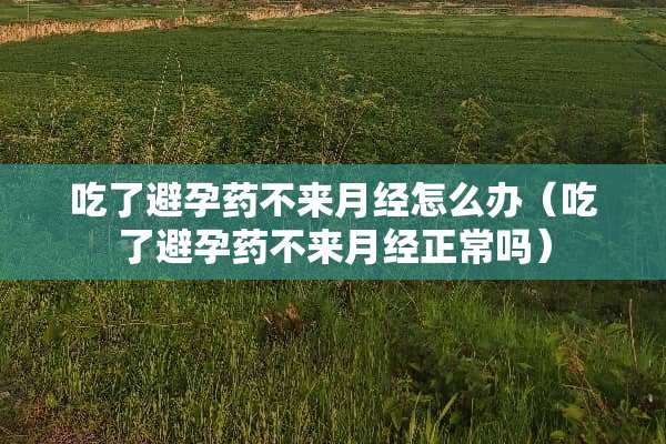 吃了避孕药不来月经怎么办（吃了避孕药不来月经正常吗）