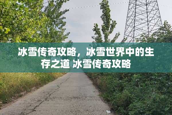 冰雪传奇攻略，冰雪世界中的生存之道 冰雪传奇攻略