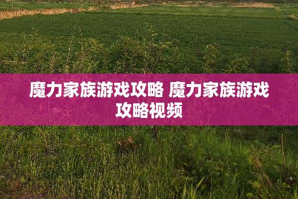 魔力家族游戏攻略 魔力家族游戏攻略视频