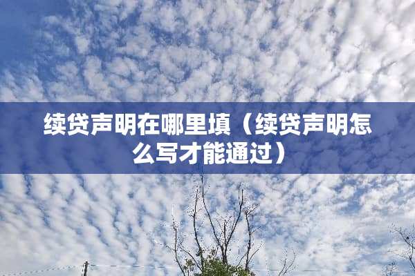续贷声明在哪里填（续贷声明怎么写才能通过）
