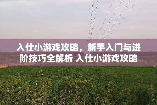 入仕小游戏攻略，新手入门与进阶技巧全解析 入仕小游戏攻略