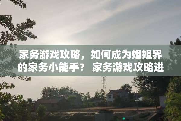 家务游戏攻略，如何成为姐姐界的家务小能手？ 家务游戏攻略进姐姐