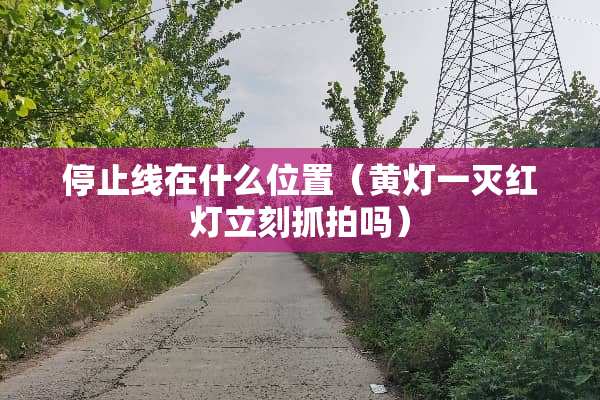 停止线在什么位置（黄灯一灭红灯立刻抓拍吗）