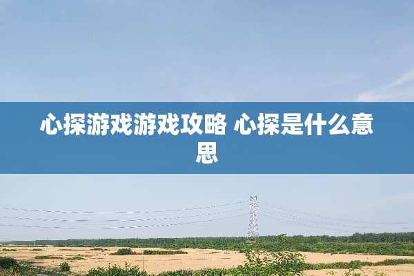心探游戏游戏攻略 心探是什么意思