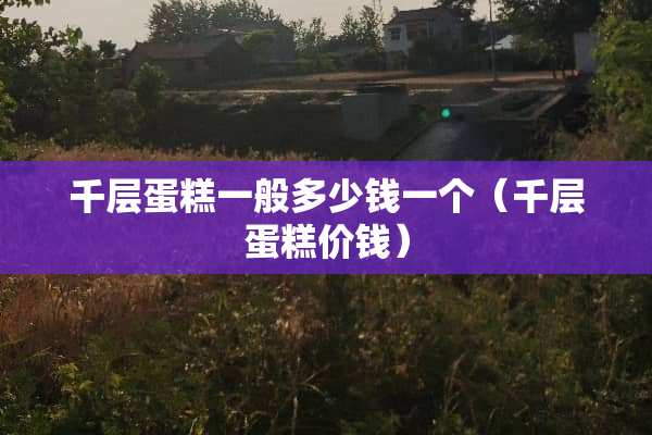 千层蛋糕一般多少钱一个（千层蛋糕价钱）