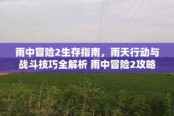 雨中冒险2生存指南，雨天行动与战斗技巧全解析 雨中冒险2攻略