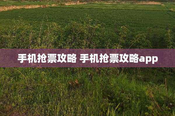 手机抢票攻略 手机抢票攻略app