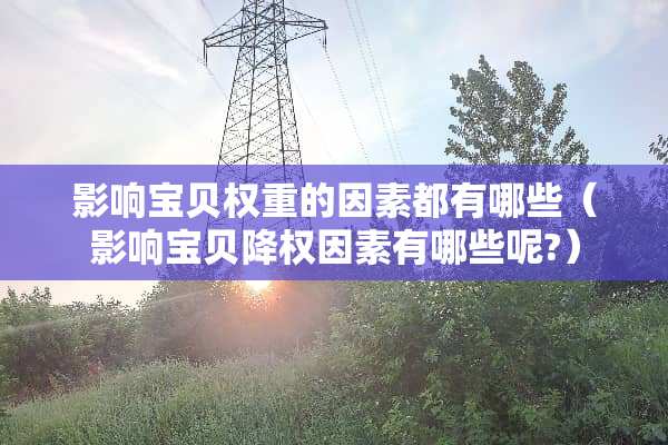 影响宝贝权重的因素都有哪些（影响宝贝降权因素有哪些呢?）