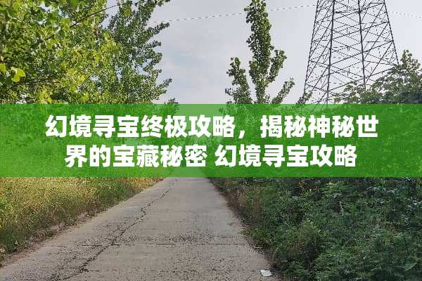 幻境寻宝终极攻略，揭秘神秘世界的宝藏秘密 幻境寻宝攻略