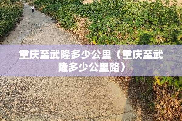 重庆至武隆多少公里（重庆至武隆多少公里路）