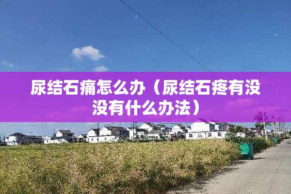 尿结石痛怎么办(尿结石疼有没没有什么办法) 尿结石痛怎么办(尿结石疼有没没有什么办法)