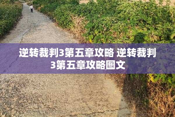 逆转裁判3第五章攻略 逆转裁判3第五章攻略图文 逆转裁判3第五章攻略 逆转裁判3第五章攻略图文