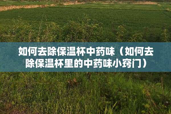 如何去除保温杯中药味（如何去除保温杯里的中药味小窍门）