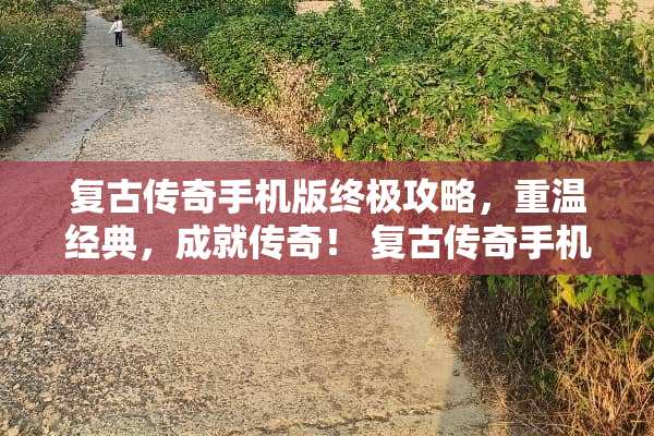 复古传奇手机版终极攻略，重温经典，成就传奇！ 复古传奇手机版游戏攻略