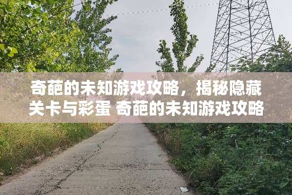 奇葩的未知游戏攻略，揭秘隐藏关卡与彩蛋 奇葩的未知游戏攻略