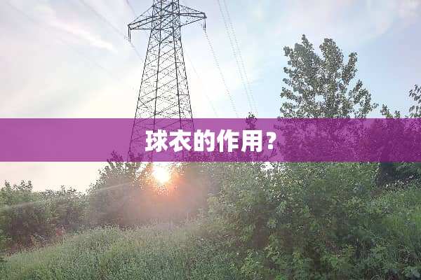 球衣的作用？