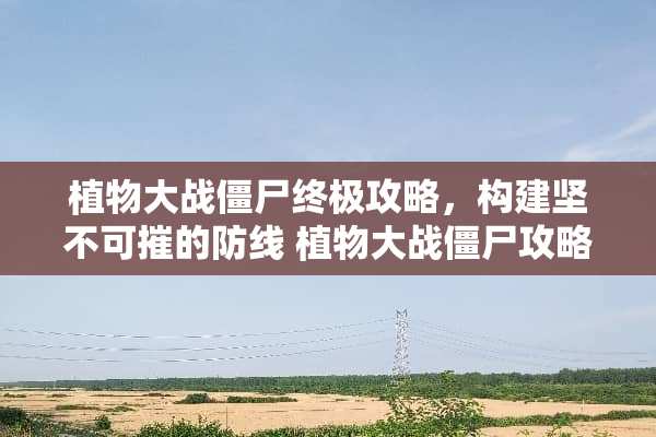 植物大战僵尸终极攻略，构建坚不可摧的防线 植物大战僵尸攻略大全
