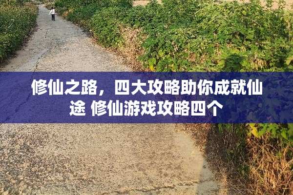 修仙之路，四大攻略助你成就仙途 修仙游戏攻略四个