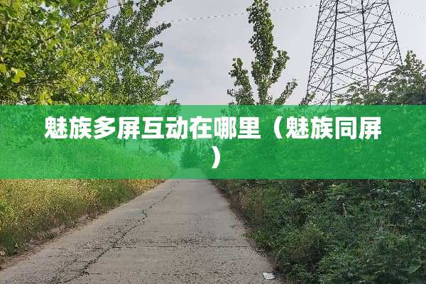 魅族多屏互动在哪里（魅族同屏）