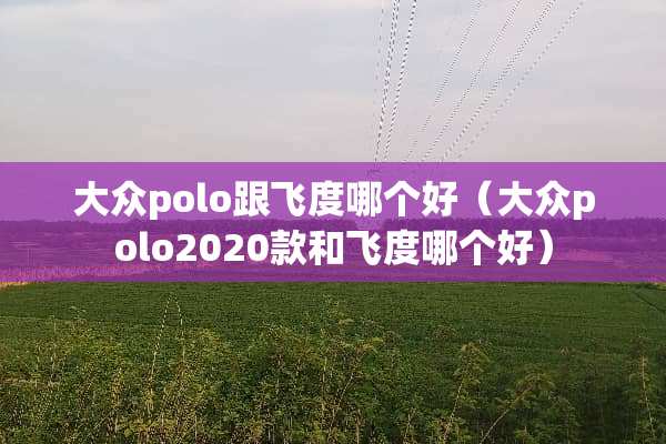 大众polo跟飞度哪个好(大众polo2020款和飞度哪个好) 大众polo跟飞度哪个好(大众polo2020款和飞度哪个好)