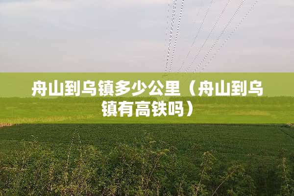 舟山到乌镇多少公里（舟山到乌镇有高铁吗）