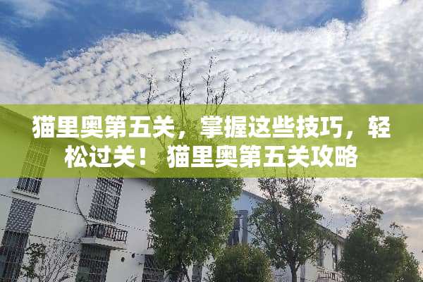 猫里奥第五关，掌握这些技巧，轻松过关！ 猫里奥第五关攻略