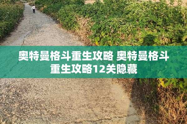 奥特曼格斗重生攻略 奥特曼格斗重生攻略12关隐藏