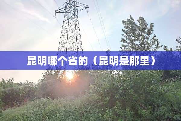 昆明哪个省的(昆明是那里) 昆明哪个省的(昆明是那里)