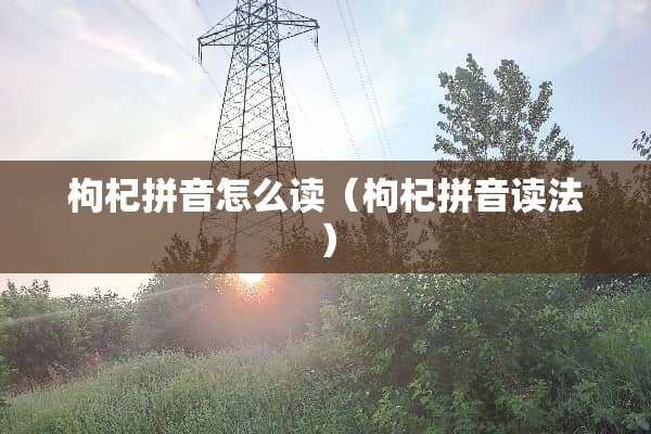 枸杞拼音怎么读（枸杞拼音读法）