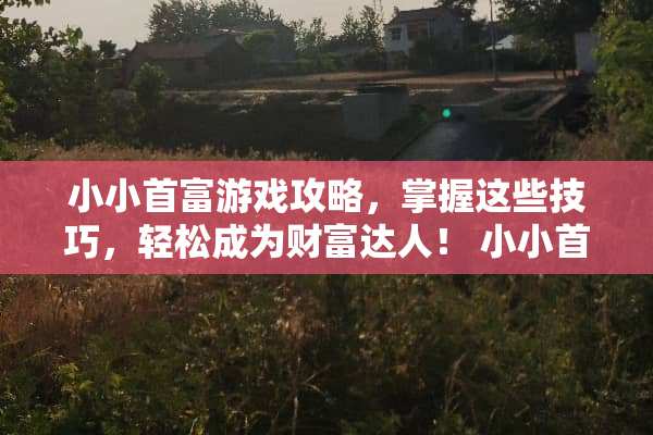 小小首富游戏攻略，掌握这些技巧，轻松成为财富达人！ 小小首富攻略