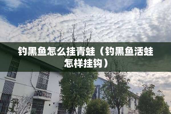 钓黑鱼怎么挂青蛙（钓黑鱼活蛙怎样挂钩）