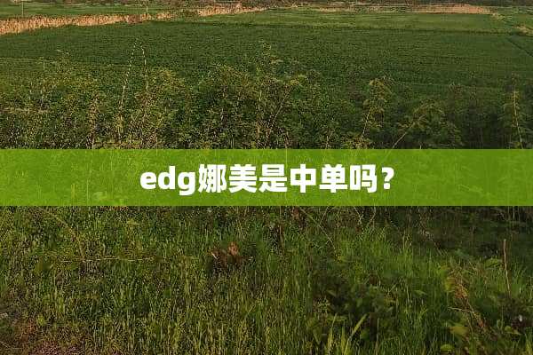 edg娜美是中单吗？