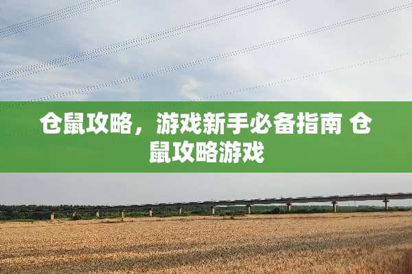 仓鼠攻略,游戏新手必备指南 仓鼠攻略游戏 仓鼠攻略,游戏新手必备指南 仓鼠攻略游戏