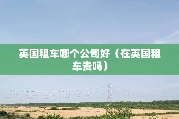 英国租车哪个公司好（在英国租车贵吗）