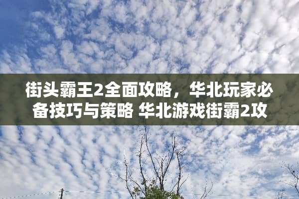街头**2全面攻略，华北玩家必备技巧与策略 华北游戏街霸2攻略