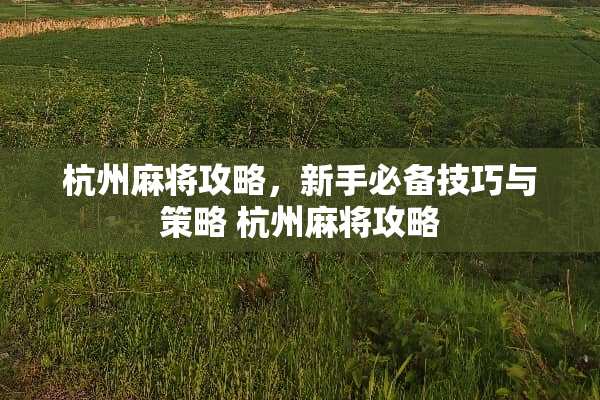 杭州**攻略,新手必备技巧与策略 杭州**攻略 杭州**攻略,新手必备技巧与策略 杭州**攻略