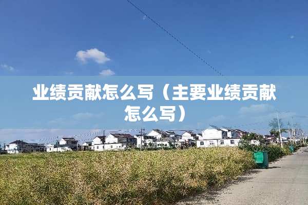 业绩贡献怎么写(主要业绩贡献怎么写) 业绩贡献怎么写(主要业绩贡献怎么写)