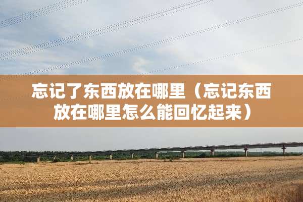 忘记了东西放在哪里（忘记东西放在哪里怎么能回忆起来）