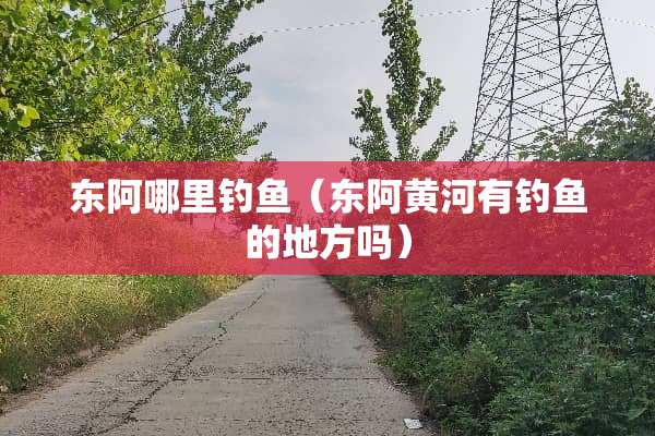 东阿哪里钓鱼（东阿黄河有钓鱼的地方吗）