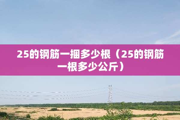 25的钢筋一捆多少根（25的钢筋一根多少公斤）