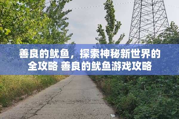 善良的鱿鱼，探索神秘新世界的全攻略 善良的鱿鱼游戏攻略