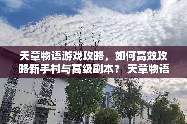 天章物语游戏攻略，如何高效攻略新手村与高级副本？ 天章物语游戏攻略