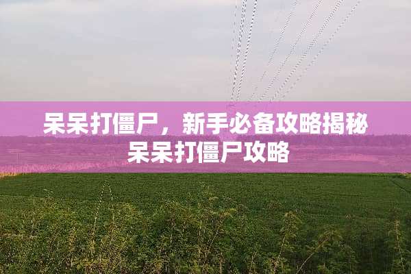 呆呆打僵尸,新手必备攻略揭秘 呆呆打僵尸攻略 呆呆打僵尸,新手必备攻略揭秘 呆呆打僵尸攻略